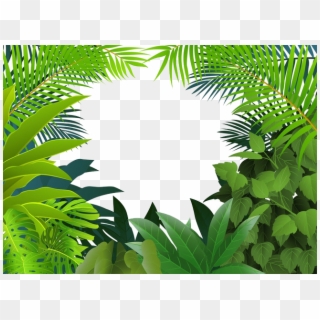Background Check All Transparent Background - Tropical Rainforest Clipart, HD Png Download