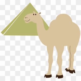 Small - Camel In Pyramids Vector, HD Png Download