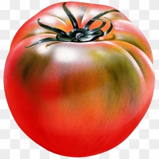 Tomato Png Free Download - 番茄 麥克 筆, Transparent Png