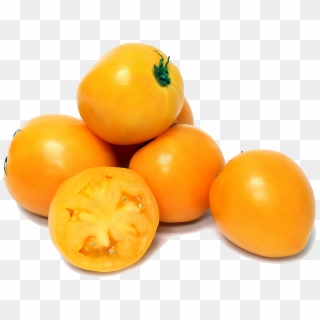 Persimmon - Tomato, HD Png Download