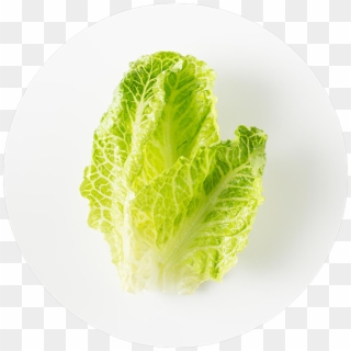 Chipotle Ingredient Statement - Romaine Lettuce, HD Png Download