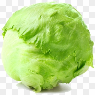 Lettuce Round, HD Png Download