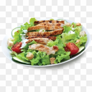Picture Royalty Free Stock Png For Free Download On - Chicken Salad Png, Transparent Png