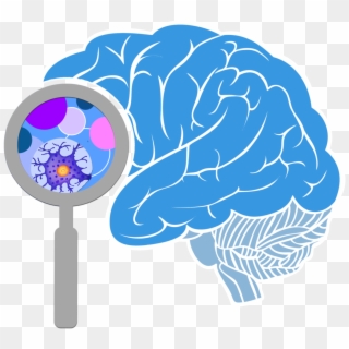 Innovation Activity Free On Dumielauxepices Net - Png Transparent Brain Png, Png Download