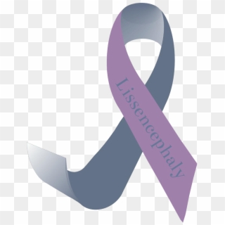 To Assist The Lissencephaly Community With Their Effort - Lissencephaly Awareness, HD Png Download