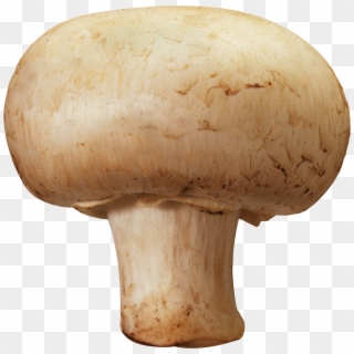 Mushroom Png Image - Mushroom Png, Transparent Png