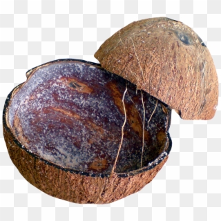 Coconut Shell Png Transparent Image - Coconut Shell Png, Png Download