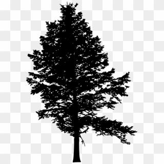 Free Png Pine Tree Silhouette Png Images Transparent - Silhouette, Png ...