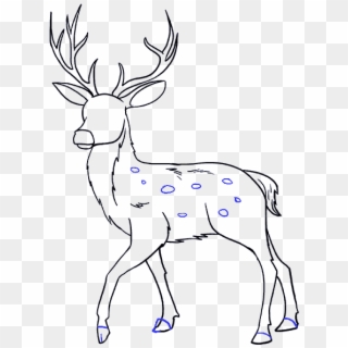 How To Draw A Deer In Few - Drawing, HD Png Download