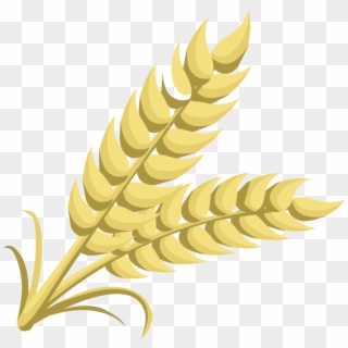 Clipart - Clipart Of Grain, HD Png Download