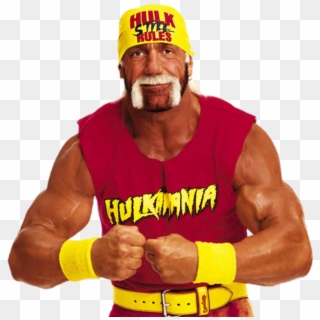 Hulk Hogan Face Png - Papa Johns N Word Memes, Transparent Png