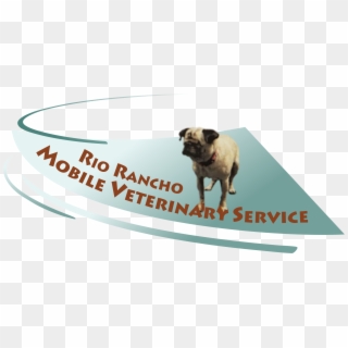 Rio Rancho Mobile Vet - Pug, HD Png Download