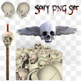 Previous Next - Skull, HD Png Download