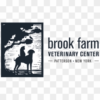 Brook Farm Veterinary Center - Stallion, HD Png Download