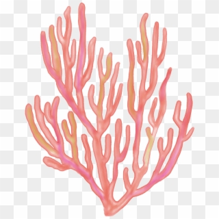 #seaweed #coral #coralreefs #coralreef #sea #ocean - Transparent Cartoon Coral Reef, HD Png Download