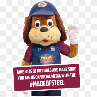 Steeler - Mascot, HD Png Download