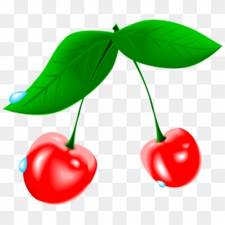 Cherry Fruit Waterdrops Fresh - Cherry Clip Art, HD Png Download
