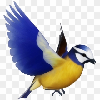 Multicolored Bird Png Free Download - Colorful Bird Flying Png, Transparent Png