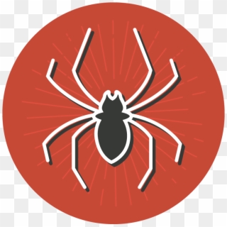 Fear Clipart Dead Spider - Insect, HD Png Download