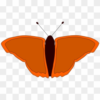 Free Vector Orange Butterfly - Butterfly, HD Png Download