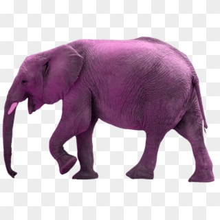 #pink#elephant#kzap - Elephant Silhouette Png, Transparent Png