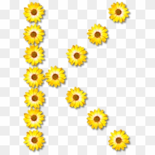 Letter Greek Alphabet Common Sunflower - Huruf K, HD Png Download