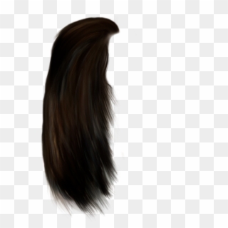 Beautiful Brown Darkbrown Red Wig Hair Longhair - Long Hair Png Male, Transparent Png
