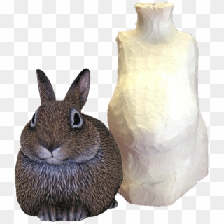Home > Roughouts > Leah Goddard Roughouts > Roughout, - Snowshoe Hare, HD Png Download