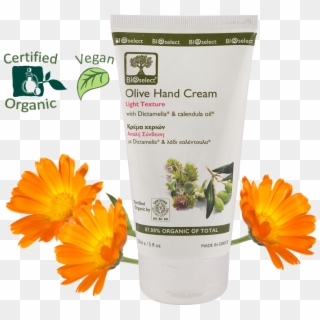 Olive Hand Cream/ Light Texture - English Marigold, HD Png Download