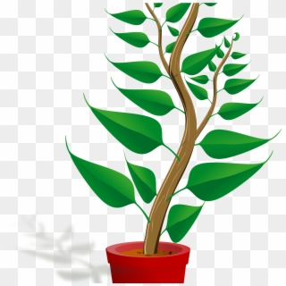 Clip Art Mehmetcetinsozler Com - Getting To Know Plants, HD Png Download