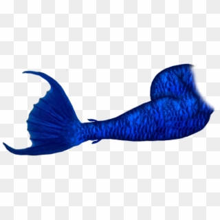 Fish Clipart Mermaid - Blue Transparent Mermaid Tail, HD Png Download