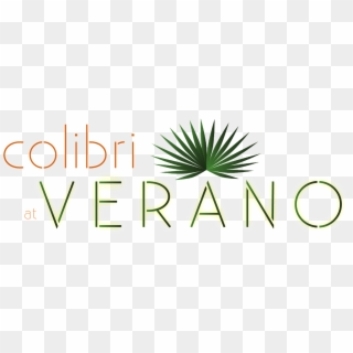 Cropped Colibri Verano Logo Color 1, HD Png Download