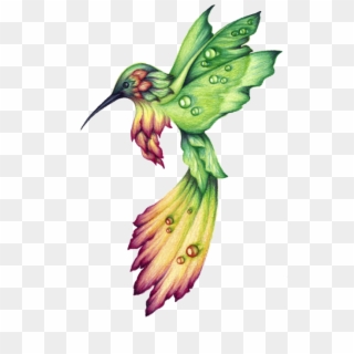 Hummingbird Drawings Google Search - Dibujos De Colibries A Lapiz, HD Png Download