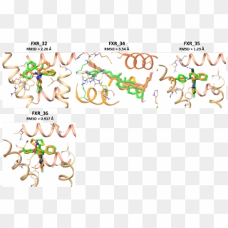 Superposition Of All 36 Ligands Predicted Poses, HD Png Download