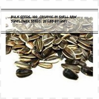 Bulk Seeds, 100% Organic In Shell Raw Sunflower Seeds, - Sunflower Seed, HD Png Download