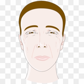 Download The Image - Illustration, HD Png Download