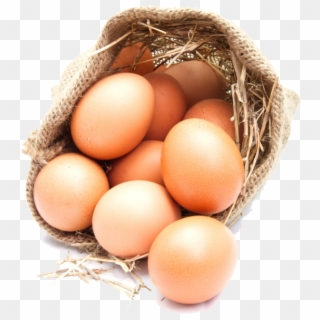 Egg - Huevo De Gallina De Rancho, HD Png Download