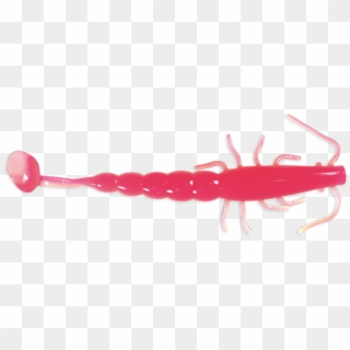 7 Inch Paddle Prawn Pink Glow - Insect, HD Png Download
