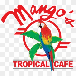 Stay Up To Date On All Our Latin Dance Classes, Socials - Mangos Tropical Cafe Logo, HD Png Download