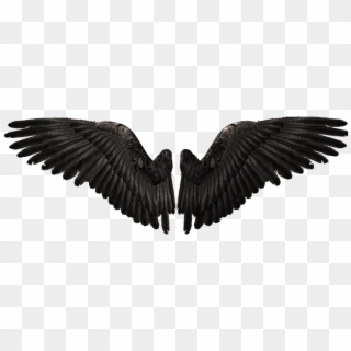Фотки Raven Wings, Raven Bird, Wings Png, Icarus Game, - Realistic Demon Wings Png, Transparent Png