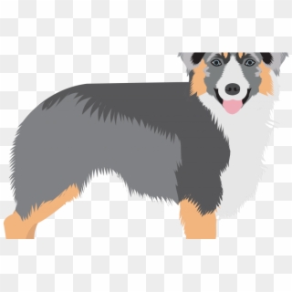 Canadian Kennel Club Reveals Surprise Addition To Canada's - Shetland Sheepdog, HD Png Download