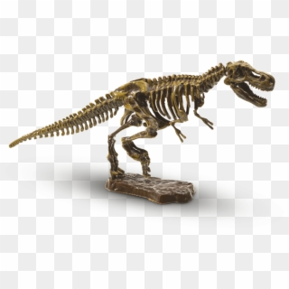 Explore Excavate A T-rex - T Rex Kostra, HD Png Download