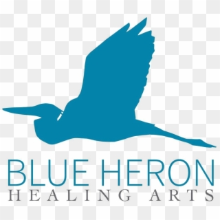 Blue Heron Healing Arts - Seabird, HD Png Download