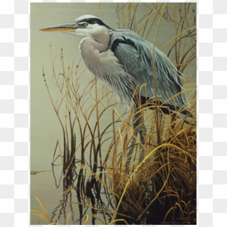Great Blue Heron - Robert Bateman Artist Birds, HD Png Download