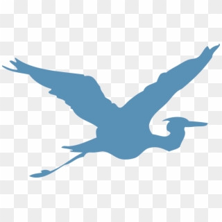 Blue Heron, HD Png Download