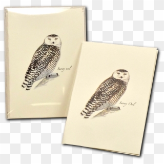 Shopping Cart -  -  - Snowy Owl, HD Png Download