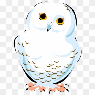 Snowy Owl Clipart - Snowy Owl, HD Png Download