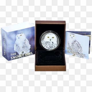 1,000 Francs Cfa Burkina Faso 2016 The Snowy Owl - Snowy Owl, HD Png Download