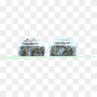 Select From A Variety Of Premium Quality Marijuana - Moss, HD Png Download