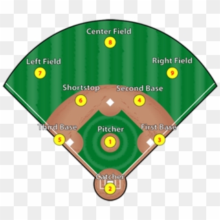 Baseball Positions - Whos On First Baseball Team, HD Png Download
